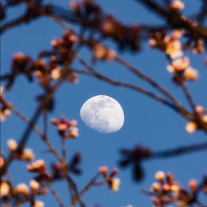 Meet your Posher, Mandela